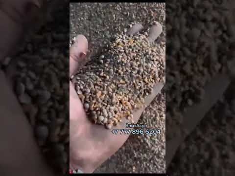 Самоходный зерноочистительный комплекс СЗК-10