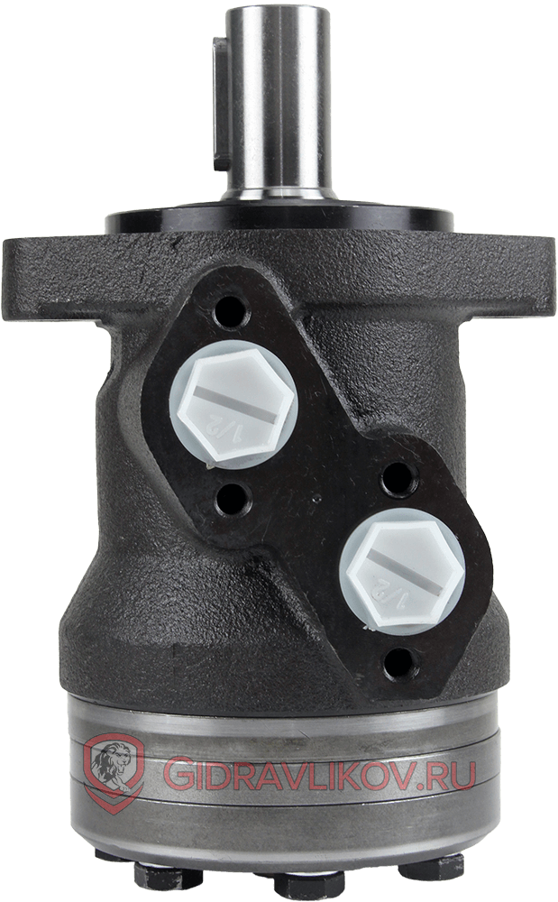 Гидромотор BMRY-160 BMRY-160P20AIIY10/T38