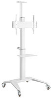 Brateck TTV12-46TW