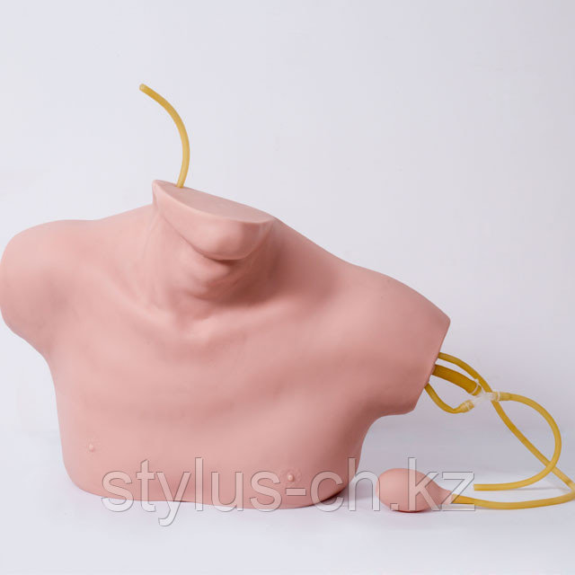 Тренажер для катетеризации центральных вен, General Doctor, Китай, В НАЛИЧИИ