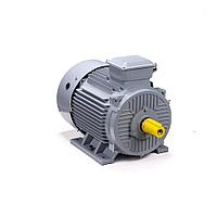 Электродвигатель ESQ PR 200 L6 GST-Б1-S12-IE2 30/1000 IM1001