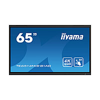Интерактивная панель iiyama TE6514MIS-B1AG1