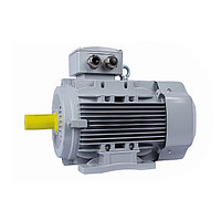 ESQ PR 132SA2-SDN-Б1-S12-5.5/3000-IE3