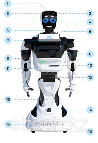 Учебный робототехнический комплекс Promobot