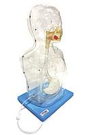 Обучение промыванию желудка применяется при оказании первой помощи