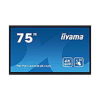 Интерактивная панель iiyama TE7514MIS-B1AG1