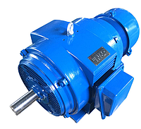 Электродвигатель 5АНК 315MВ4