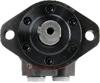 Гидромотор BMRY-160 BMRY-160P20AIIY10/T38