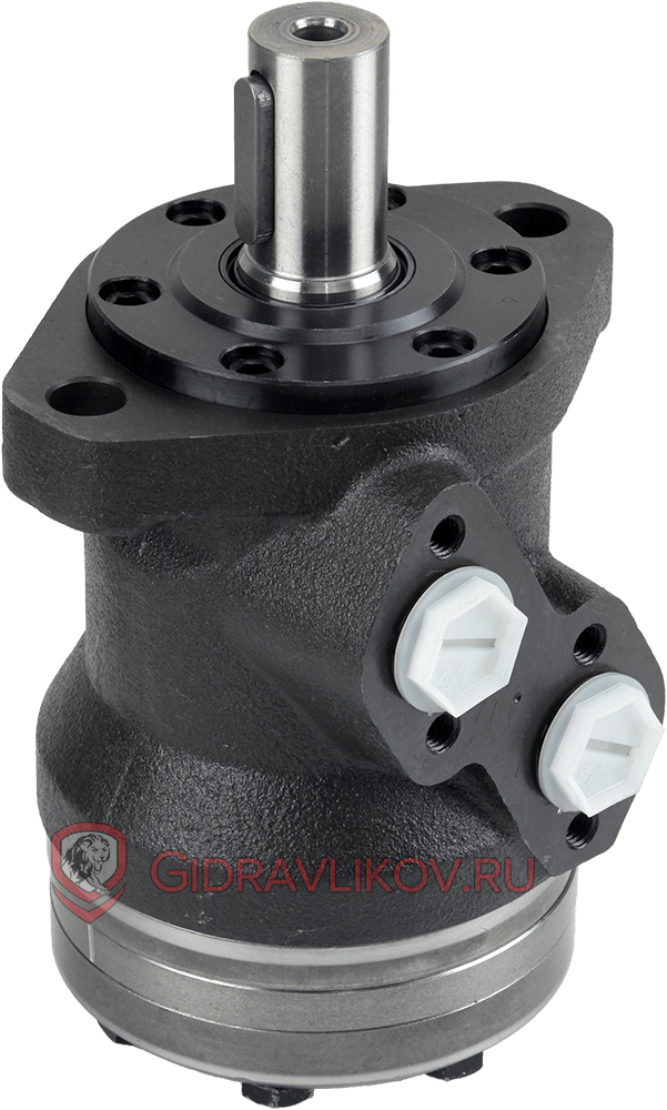 Гидромотор BMRY-160 BMRY-160P20AIIY10/T38