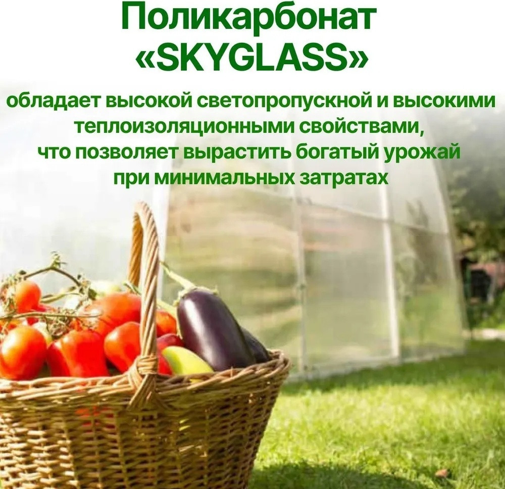 Сотовый поликарбонатный лист прозрачный Skyglass 2100х12000х10 мм