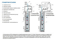 Насос скважинный Pedrollo 4SR 8/43-S (7.5кВт | 380В | от 2.4 до 12м³/час | от 88 до 301м Напор | Ø 102 мм)3