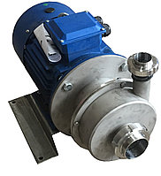 Насос ОНЦ 100/50К5-22/21