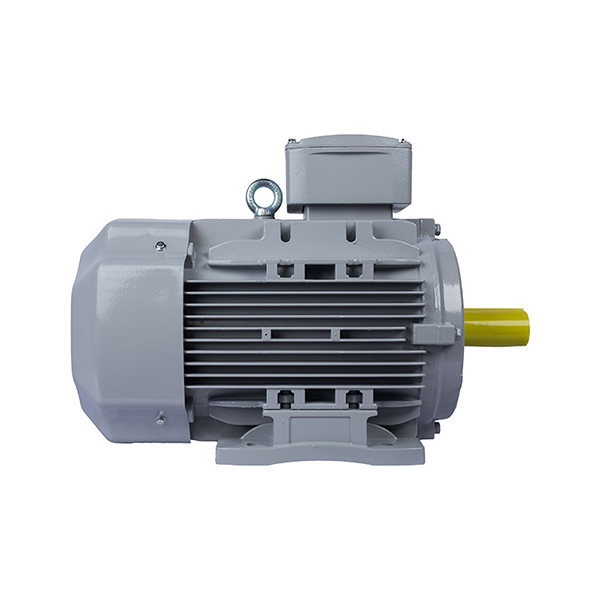 ESQ PR 132SA2-SDN-Б1-S12-5.5/3000-IE3