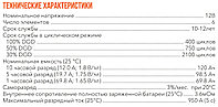 Аккумулятор Delta GEL 12-120 (12В, 120Ач)3