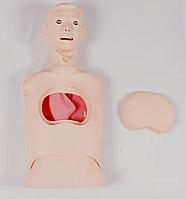 Учебный муляж дренажа грудной клетки