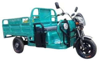 BamX 1000DZH-3B трицикл зеленый1