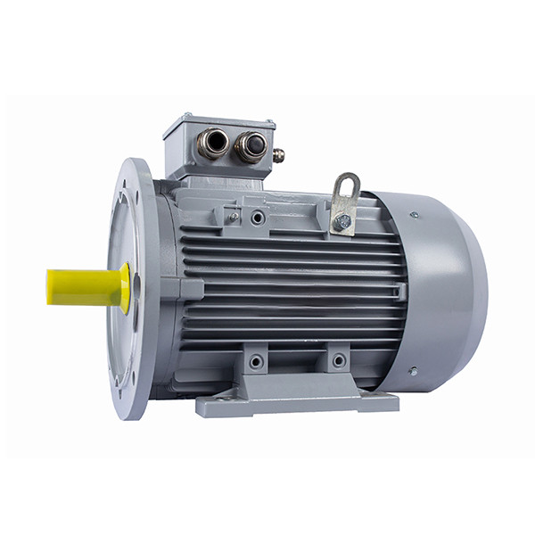 ESQ PR 132SA2-SDN-Б1-S12-5.5/3000-IE3