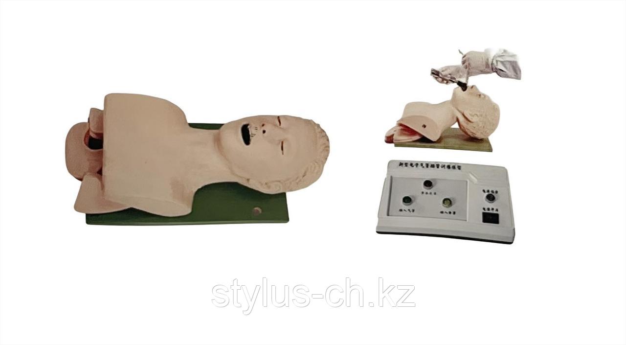 BIX-J5S Электронный манекен для тренировки интубации дыхательных путей