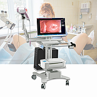 Акция! Цифровой кольпоскоп KN-2200IH (Один монитор)