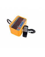 Весы крановые КВ-100