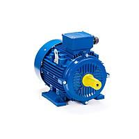 Электродвигатель ESQ 200 L8-SDN- 15/750 IMB3