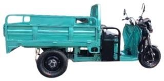 BamX 1000DZH-3B трицикл зеленый2