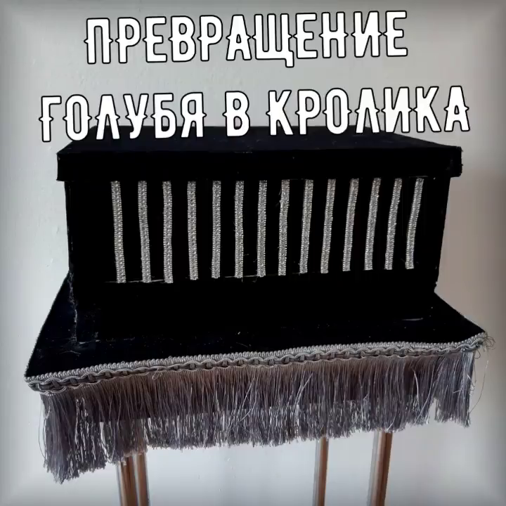 Иллюзион голубя в кролика