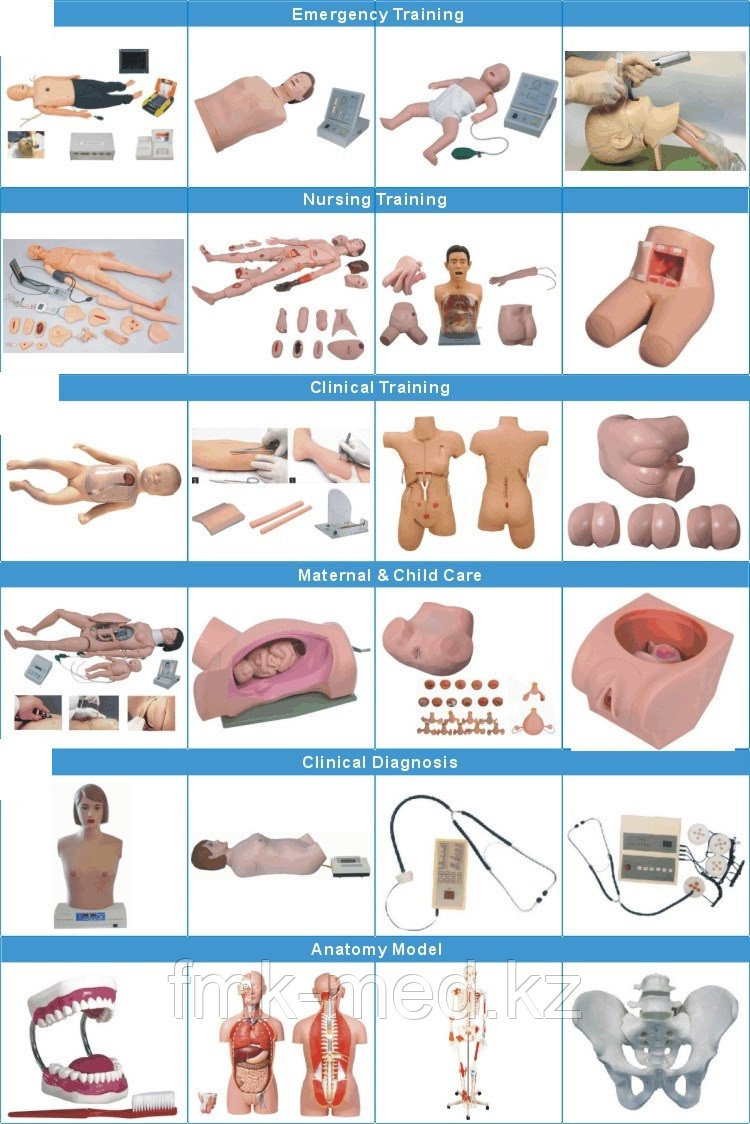 Учебные анатомический муляж человека в комплекте