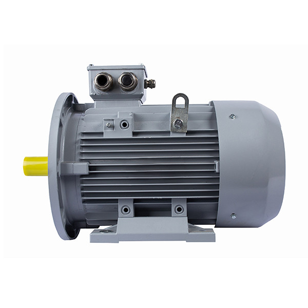 ESQ PR 132SA2-SDN-Б1-S12-5.5/3000-IE3